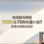 地域猫の用語TNRMとTNRの違いは?管理の実際を紹介