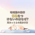 地域猫の目印首輪をつけないのはなぜ?耳カットとの見分け方