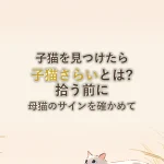 子猫を見つけたら子猫さらいとは?拾う前に母猫のサインを確かめて